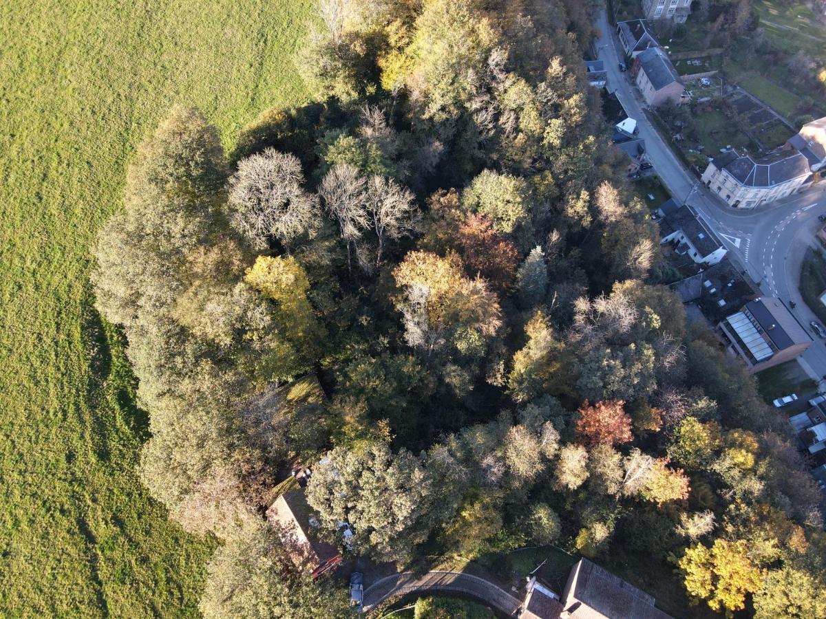 Gites Douillets A L'Oree Des Bois. Houyet Exterior photo